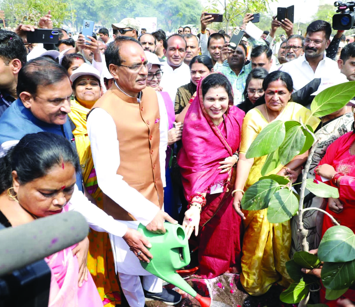 MP: Women plant more than 51K saplings in   413 civic bodies on CM Chouhan’s birthday