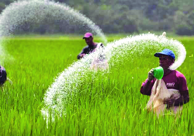 Govt mulls ‘non-subsidised’ premier urea to bring down fertiliser subsidy