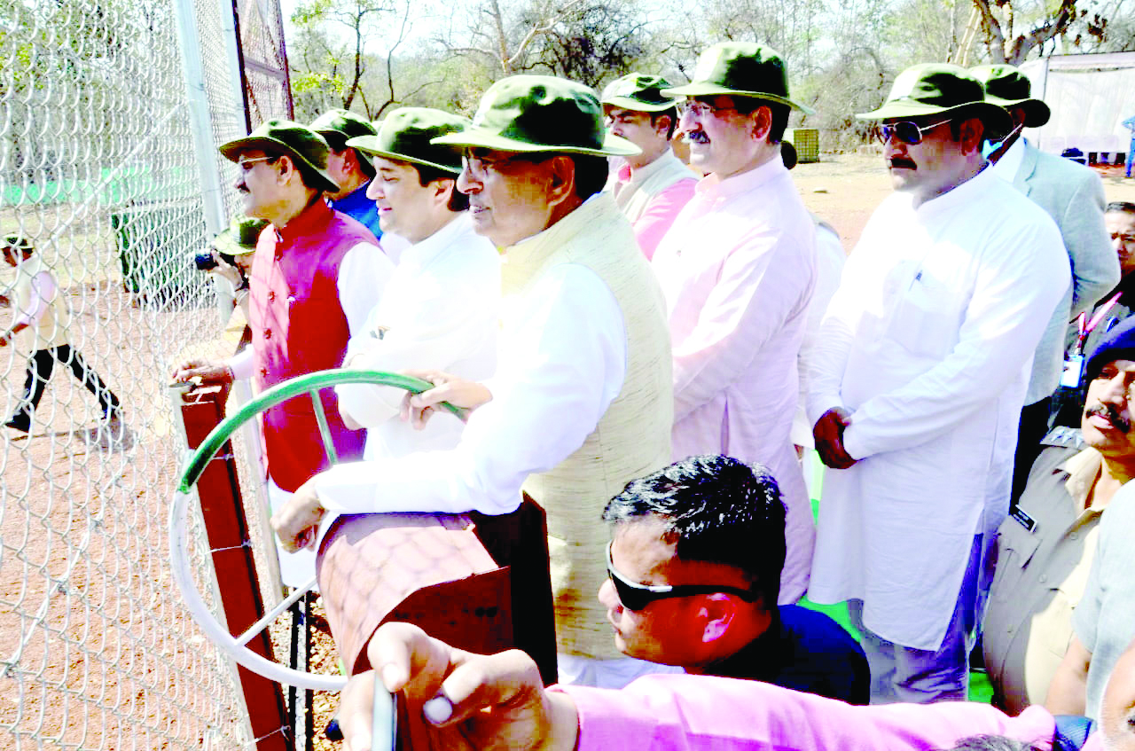MP CM Chouhan releases couple of tigers into Madhav National Park