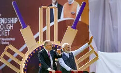 Fast-emerging friendship