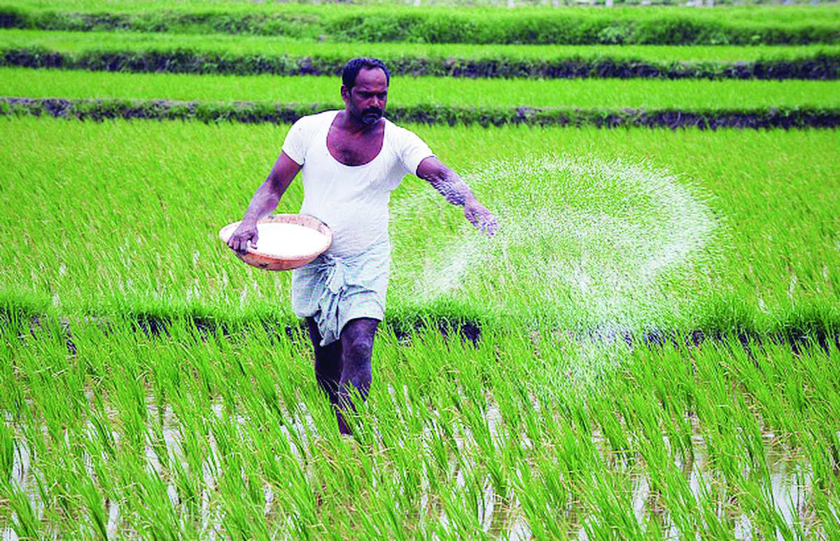 State takes stern steps to curb black marketing of fertilizer