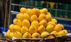 Flavour and fragrance of ‘Rataul’ Flavour and fragrance of ‘Rataul’