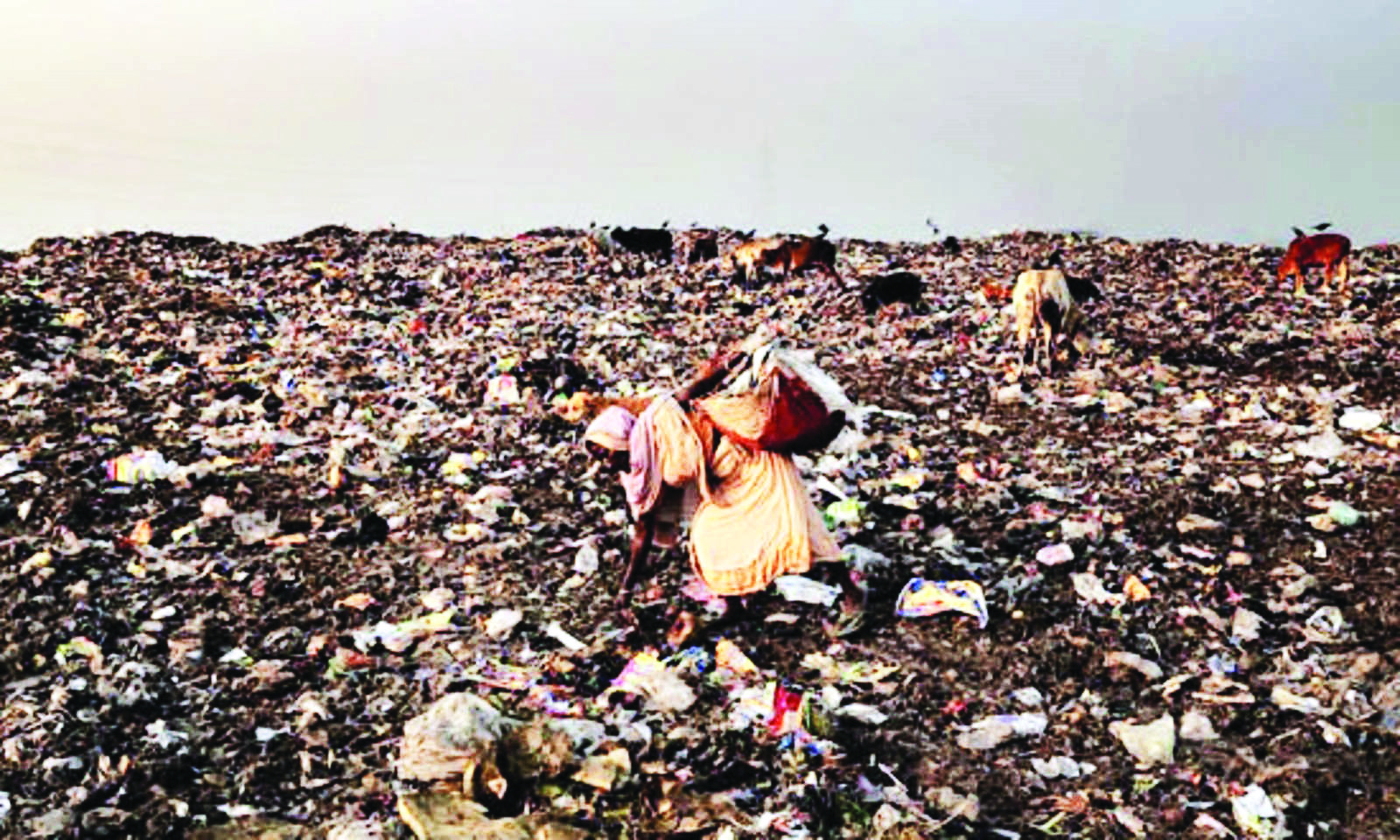 State identifies 123 legacy dumpsites from about 128 urban local bodies