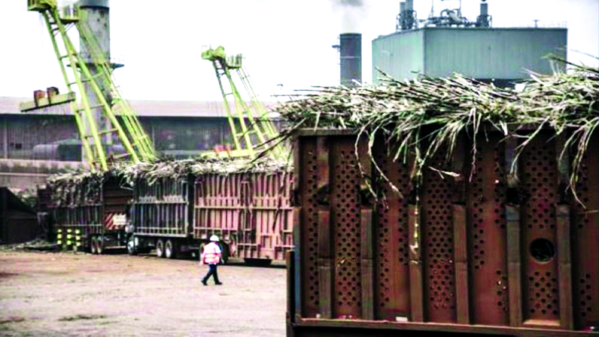 State gets approval for 10 ethanol manufacturing units, 1 starts ops State gets approval for 10 ethanol manufacturing units, 1 starts ops
