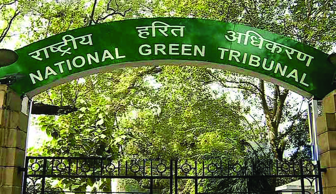 NGT forms panel to verify claim of air pollution around AIIMS