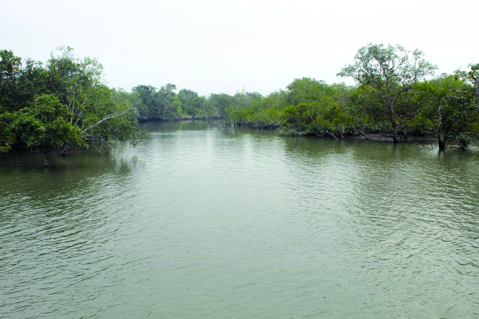 Soon, audit of embankments in Sunderbans