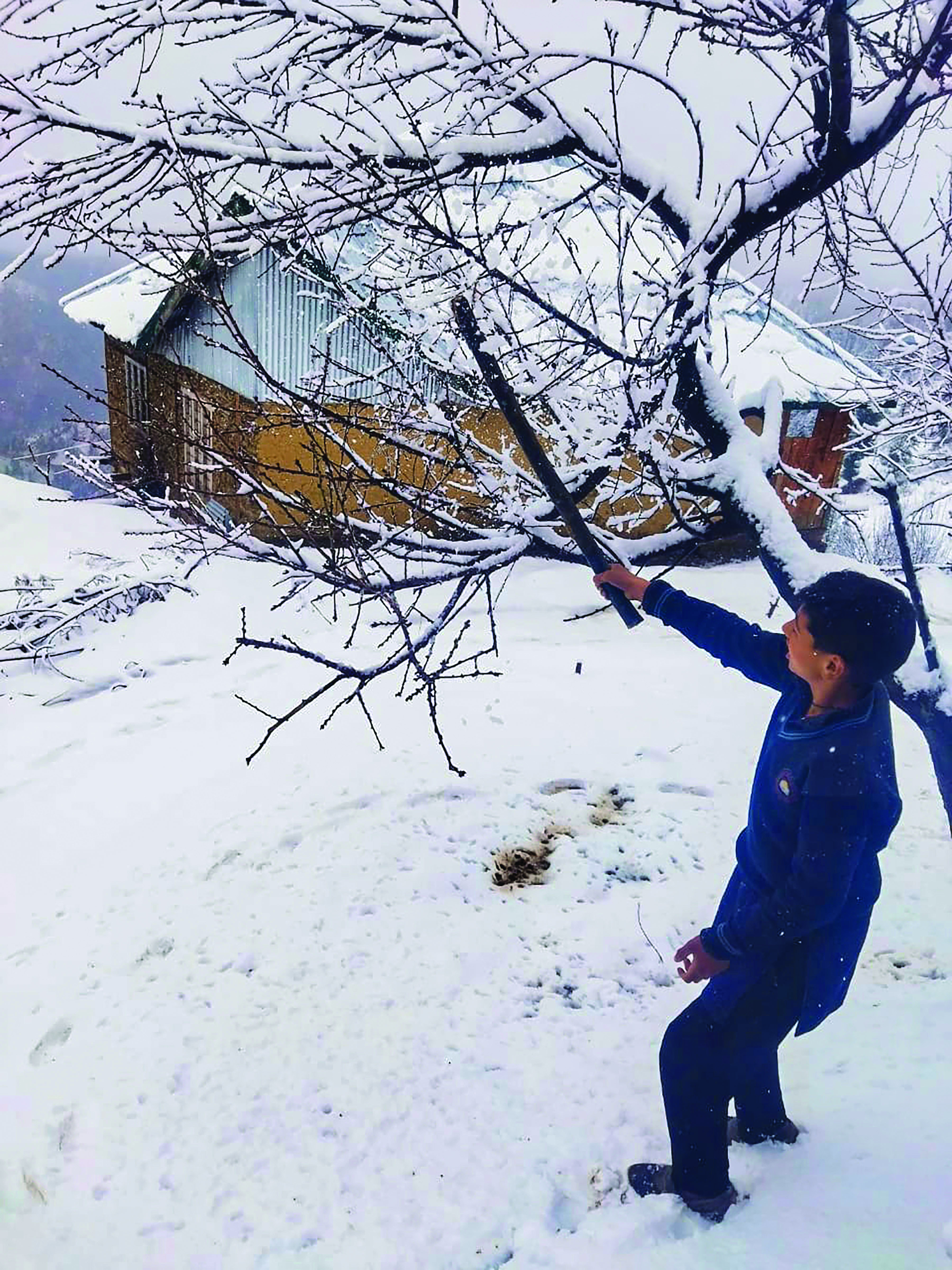 Mid-March snowfall in J&K’s Doda district leaves fruit growers worried