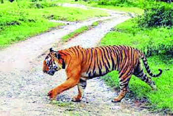 STR to stay closed on Tuesdays from April 1