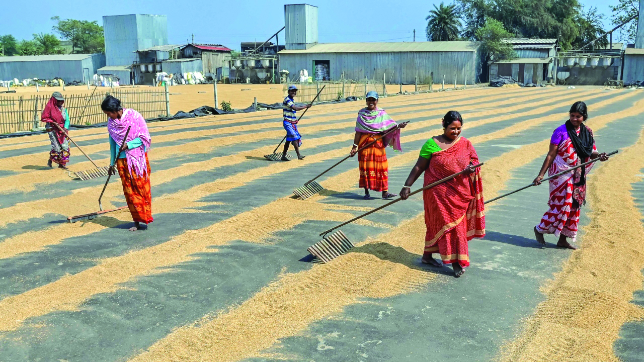 Promoting consumption of coarse grains: Indian Army to reintroduce millets in ration