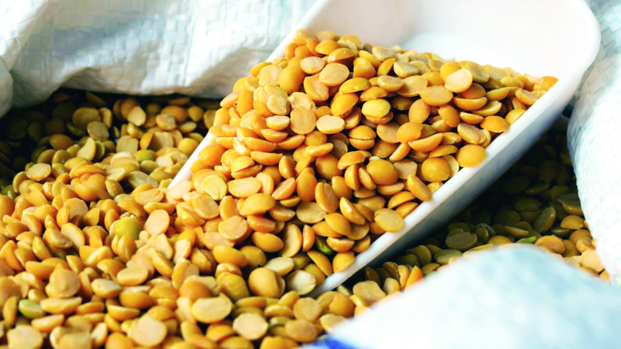Govt sets up panel to monitor   tur dal stocks to check hoarding