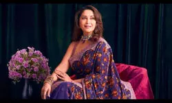 Legal notice sent to Netflix for Big Bang Theory episode on Madhuri Dixit