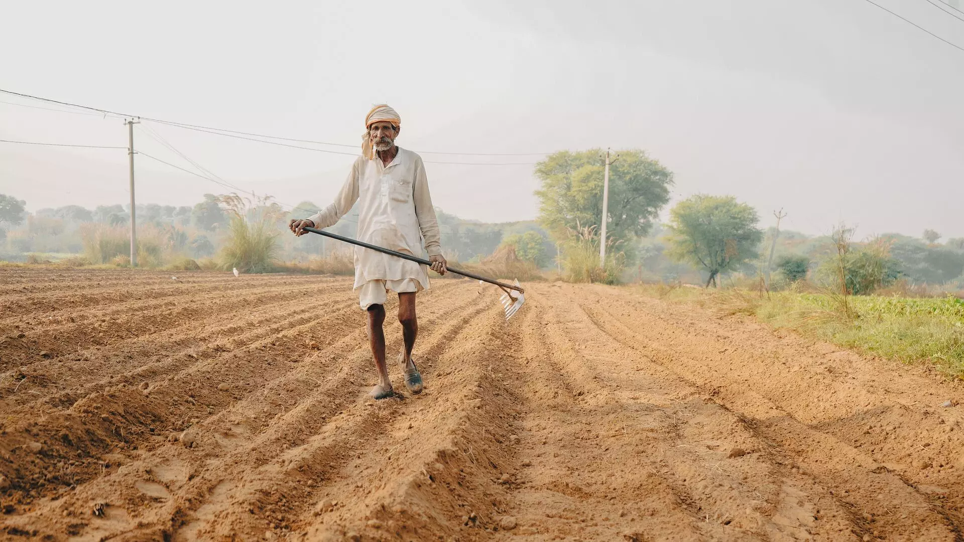 Saving the arable land