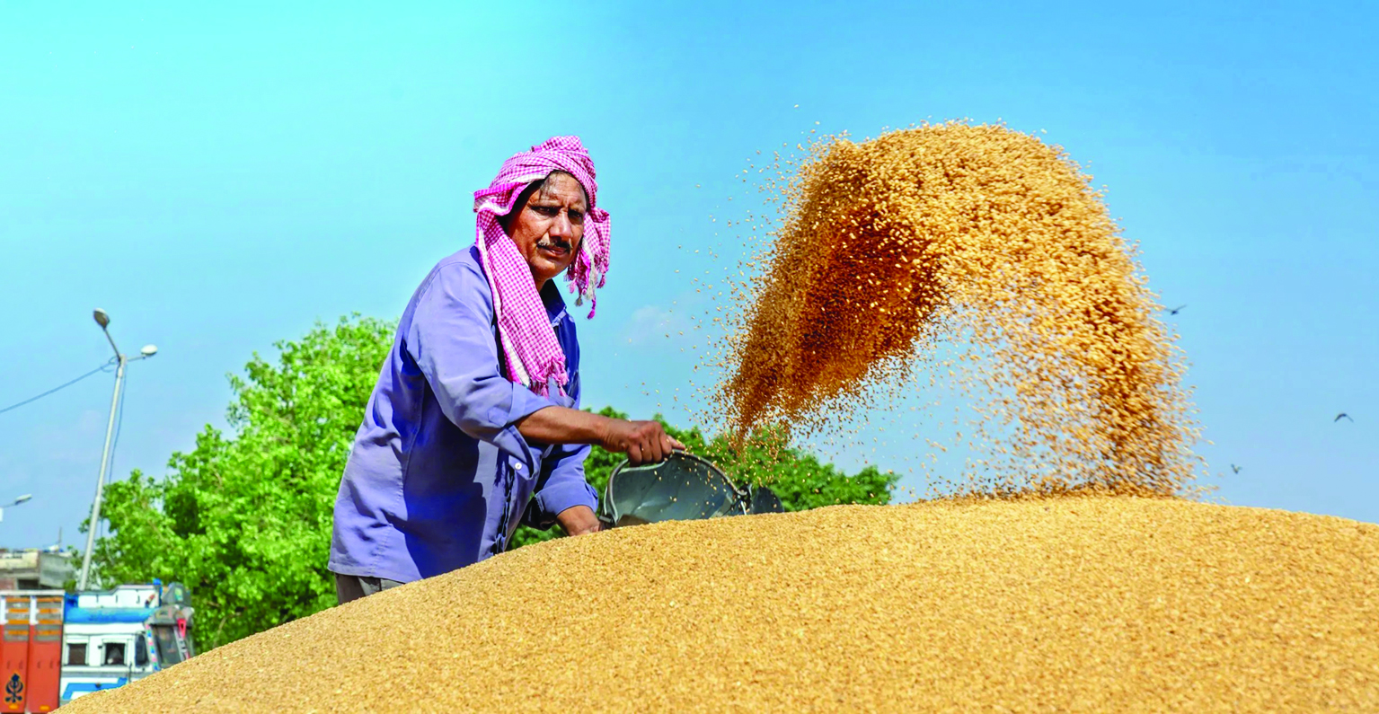 Export ban on wheat to continue, record output likely even after untimely rains: FCI