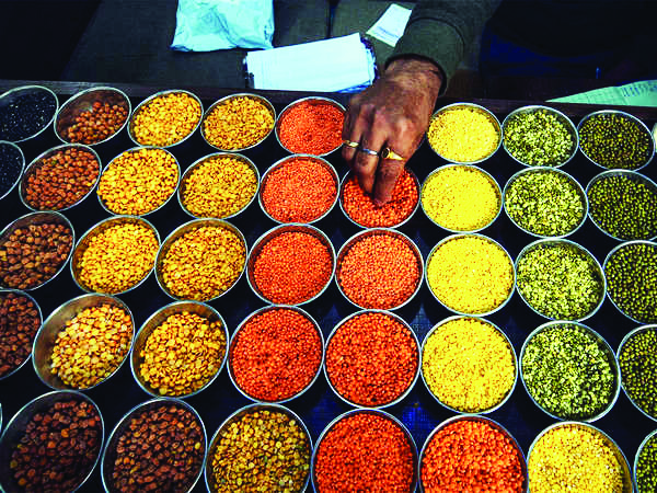 Disclose pulses stocks regularly in a transparent manner: Centre