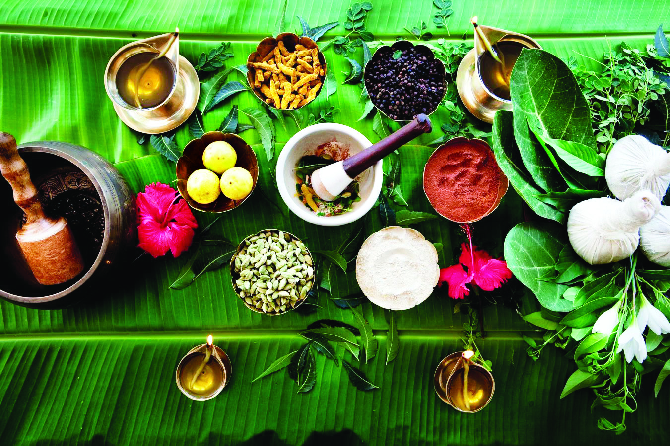 ‘Revamp Ayush speciality clinics in 12 districts’