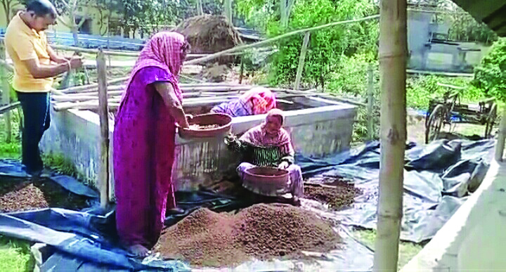 Livelihood shift: Tribal women turn to making vermicompost Livelihood shift: Tribal women turn to making vermicompost