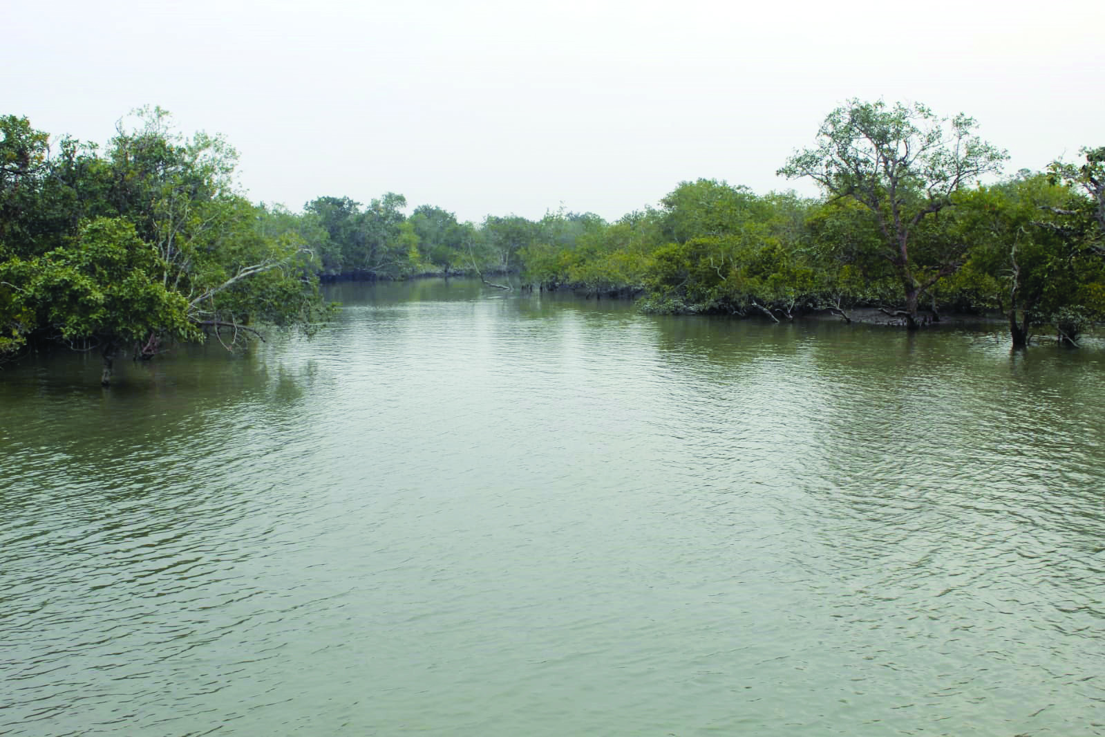 Water management in the Sunderbans: State govt official to attend meet in Delhi