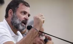 Rahul Gandhi to file appeal in Gujarat court on April 3 against conviction in defamation case