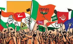 Talking Shop: We need coconuts