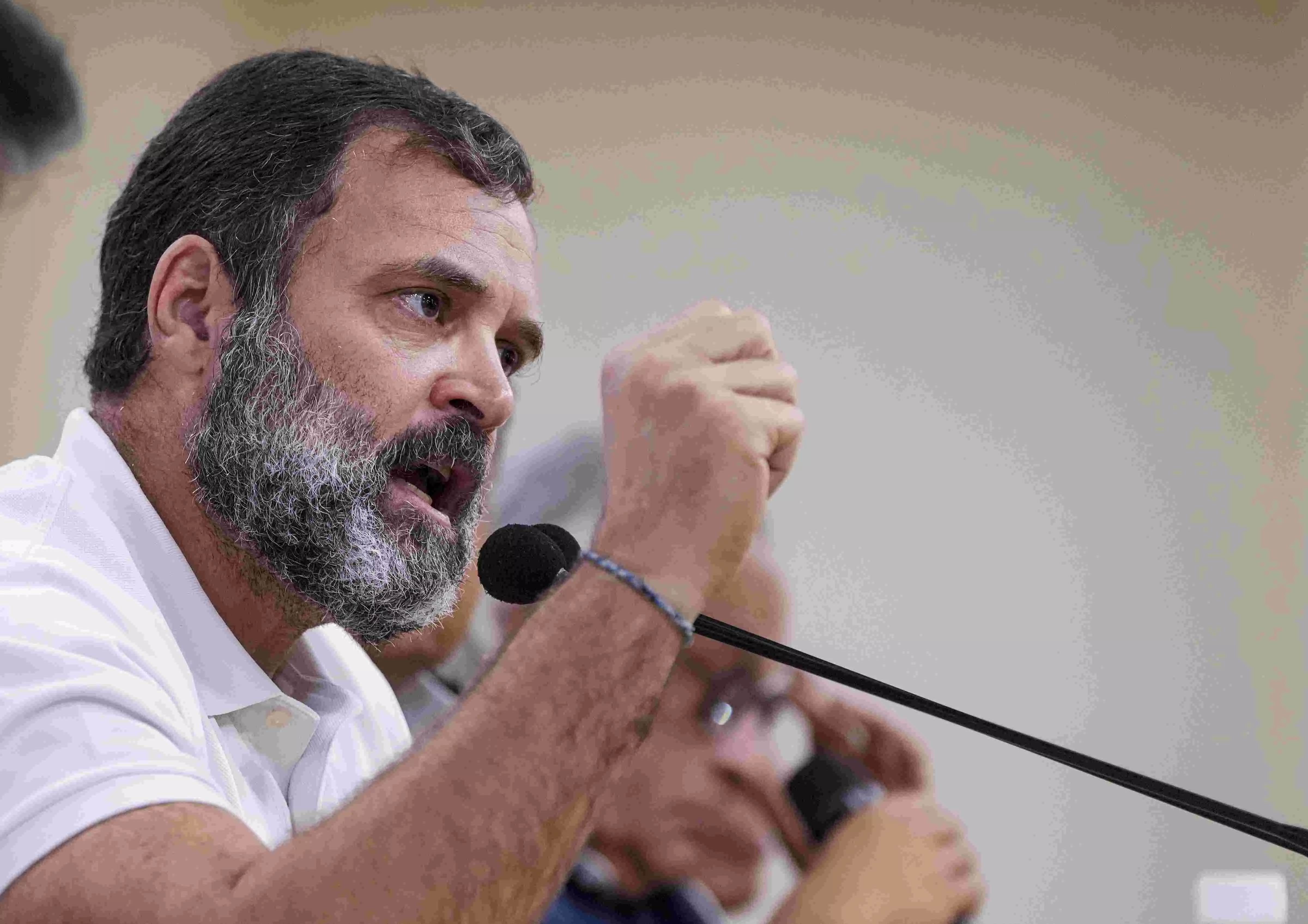 Rahul Gandhi to file appeal in Gujarat court on April 3 against conviction in defamation case