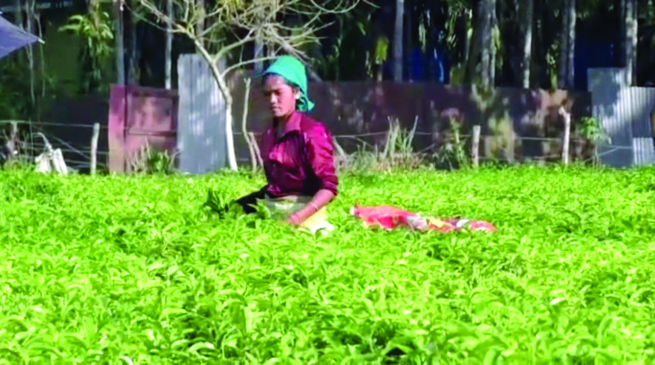 1st meet: Advisory Board discusses hike in minimum wages of workers