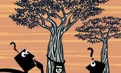 Spurious endeavour Spurious endeavour