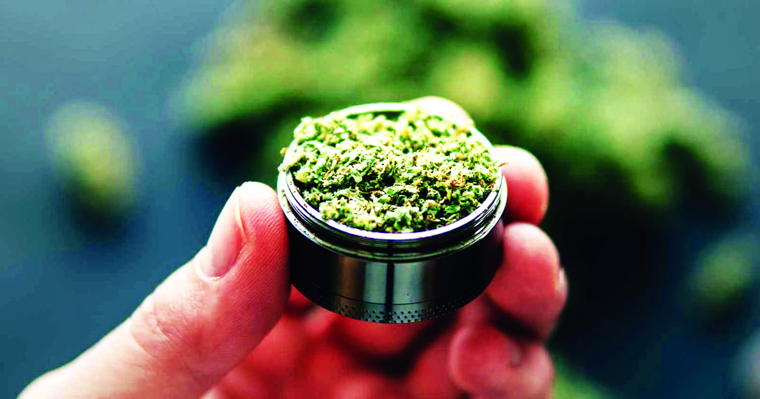 Himachal Pradesh CM sets up committee to study the scope of legalising cannabis Himachal Pradesh CM sets up committee to study the scope of legalising cannabis