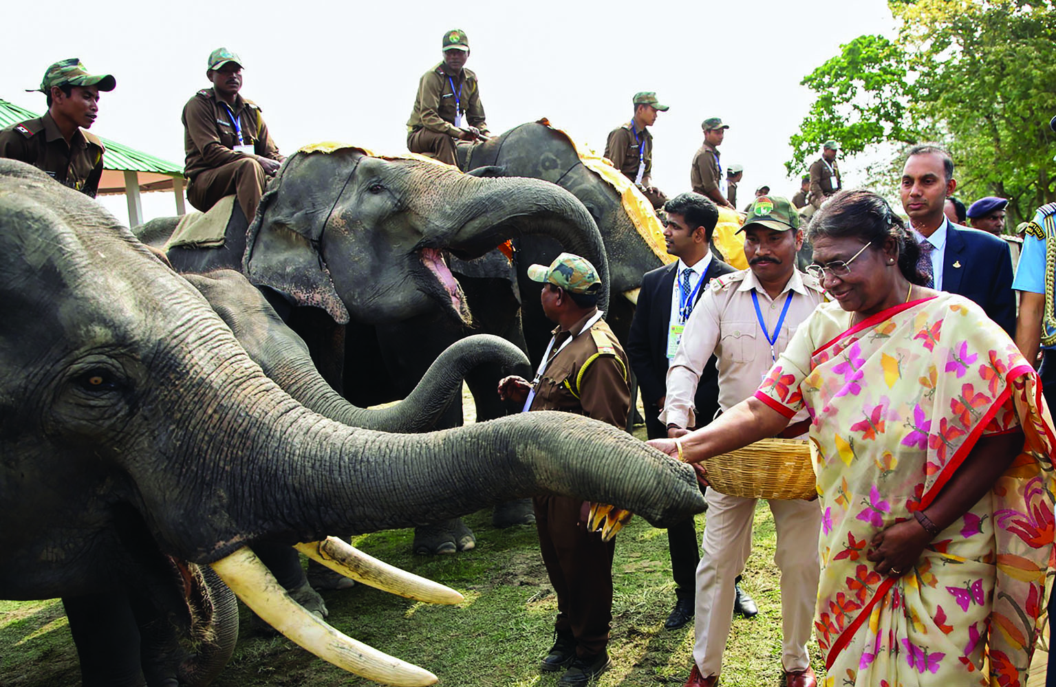 Elephant corridors must be kept free from obstructions: President Murmu