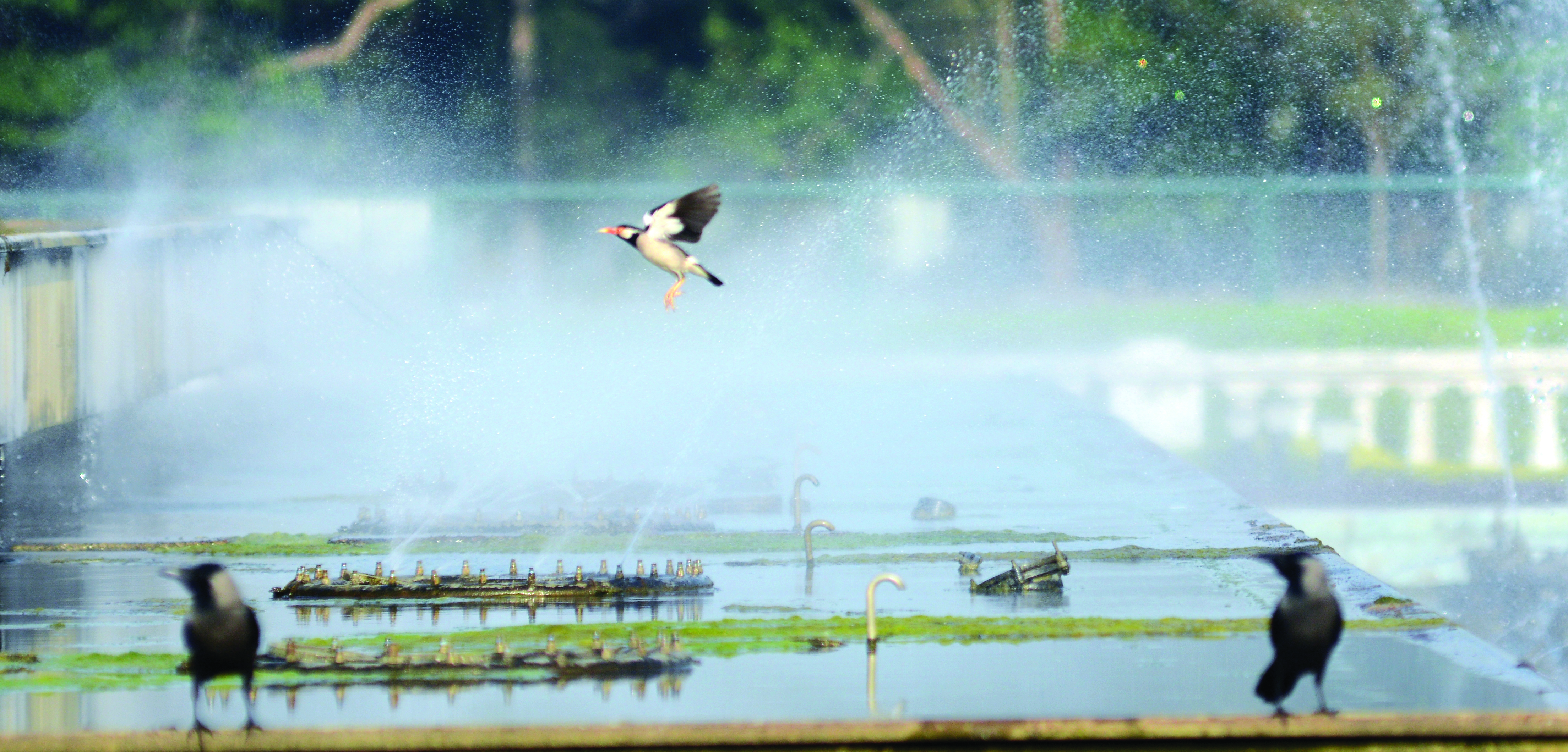 City to experience 40 degree celsius this month, mercury to rise in next couple of days City to experience 40 degree celsius this month, mercury to rise in next couple of days