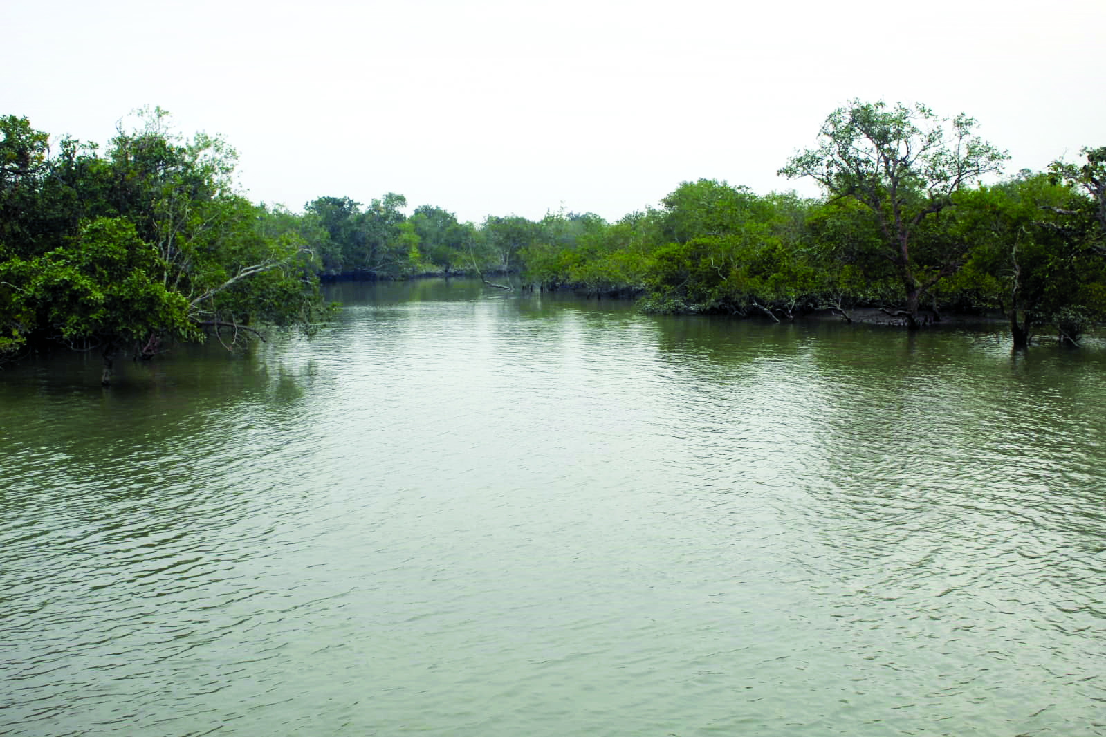 Sunderbans: Micro plan to protect 33 islands on the anvil