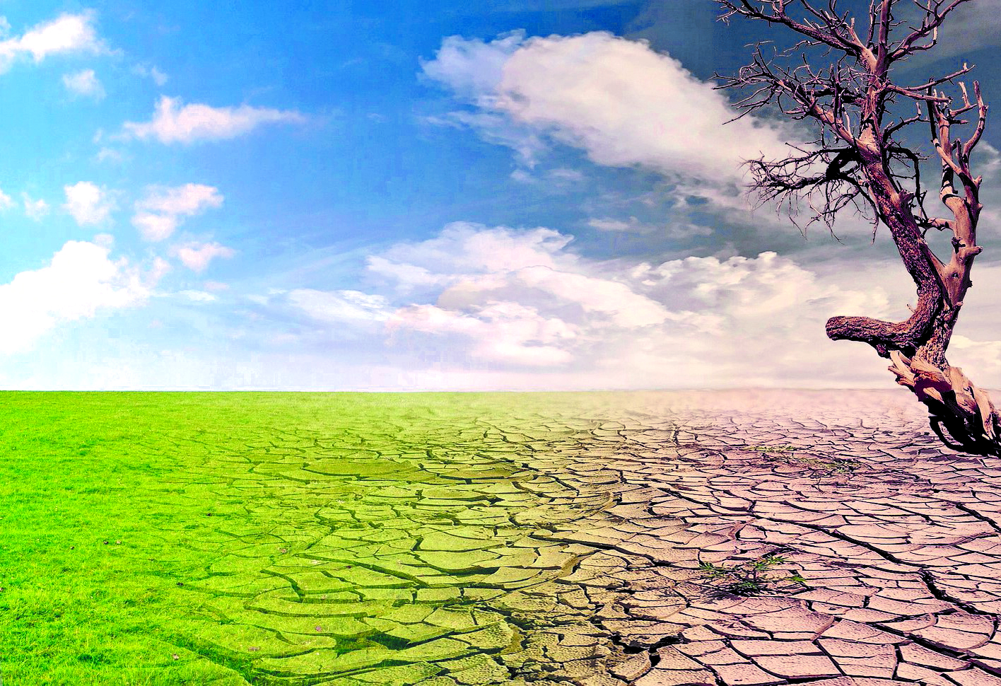 India may witness below-normal monsoon rains, drought: Skymet