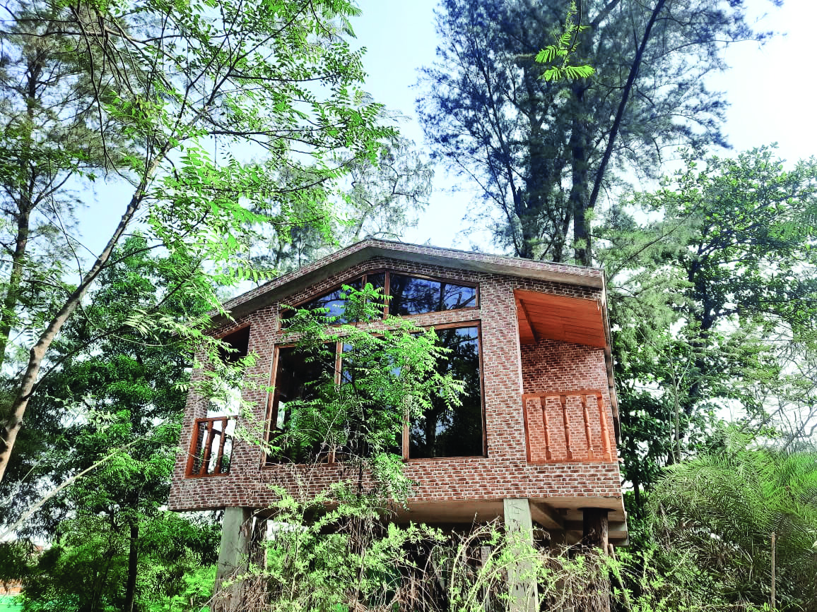 Panchayat Samity to launch tree houses at Budge Budge to promote tourism Panchayat Samity to launch tree houses at Budge Budge to promote tourism