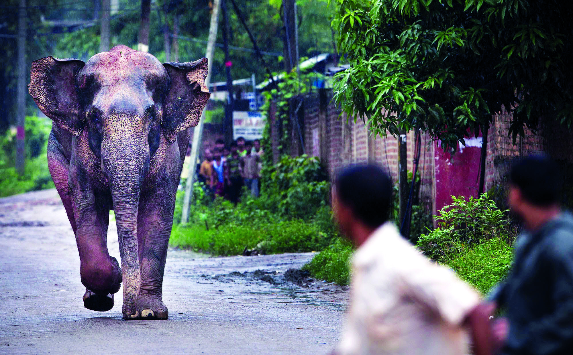 Climate change pitting humans & wildlife against each other, say conservationists Climate change pitting humans & wildlife against each other, say conservationists