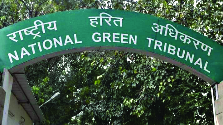 NGT forms panel to take remedial action against ‘illegal’ Gzb dyeing units