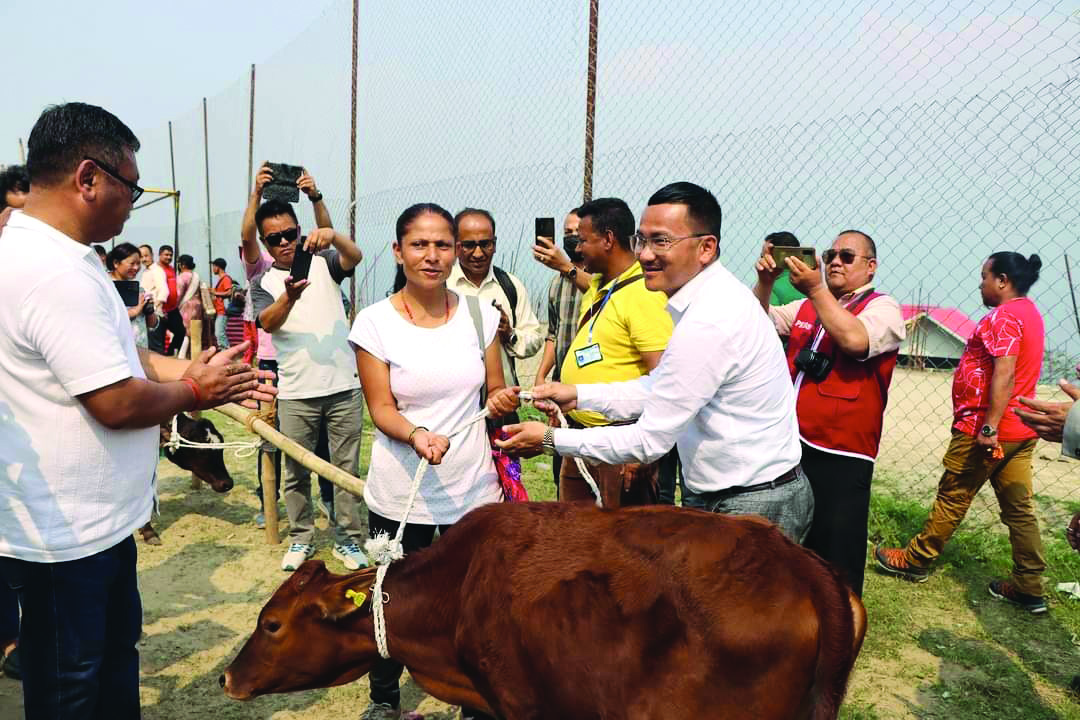 Step taken to boost animal rearing in rural areas