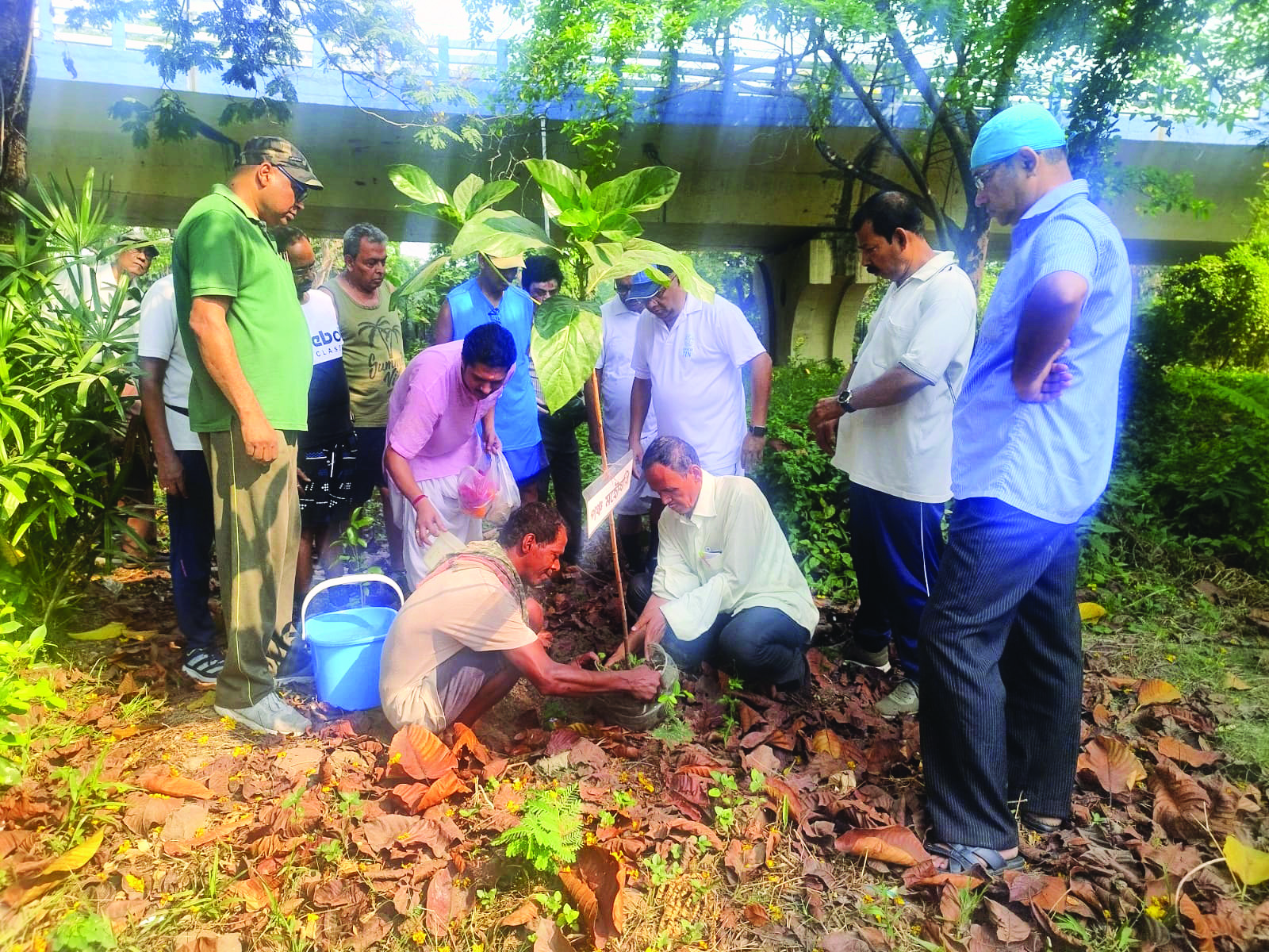 KMDA to develop butterfly park and Miyawaki Forest at Rabindra Sarobar