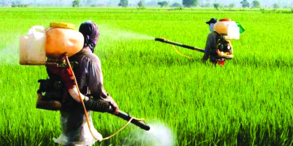 Combating heatwave: Farmers in Malda told to leave fields before 11 am