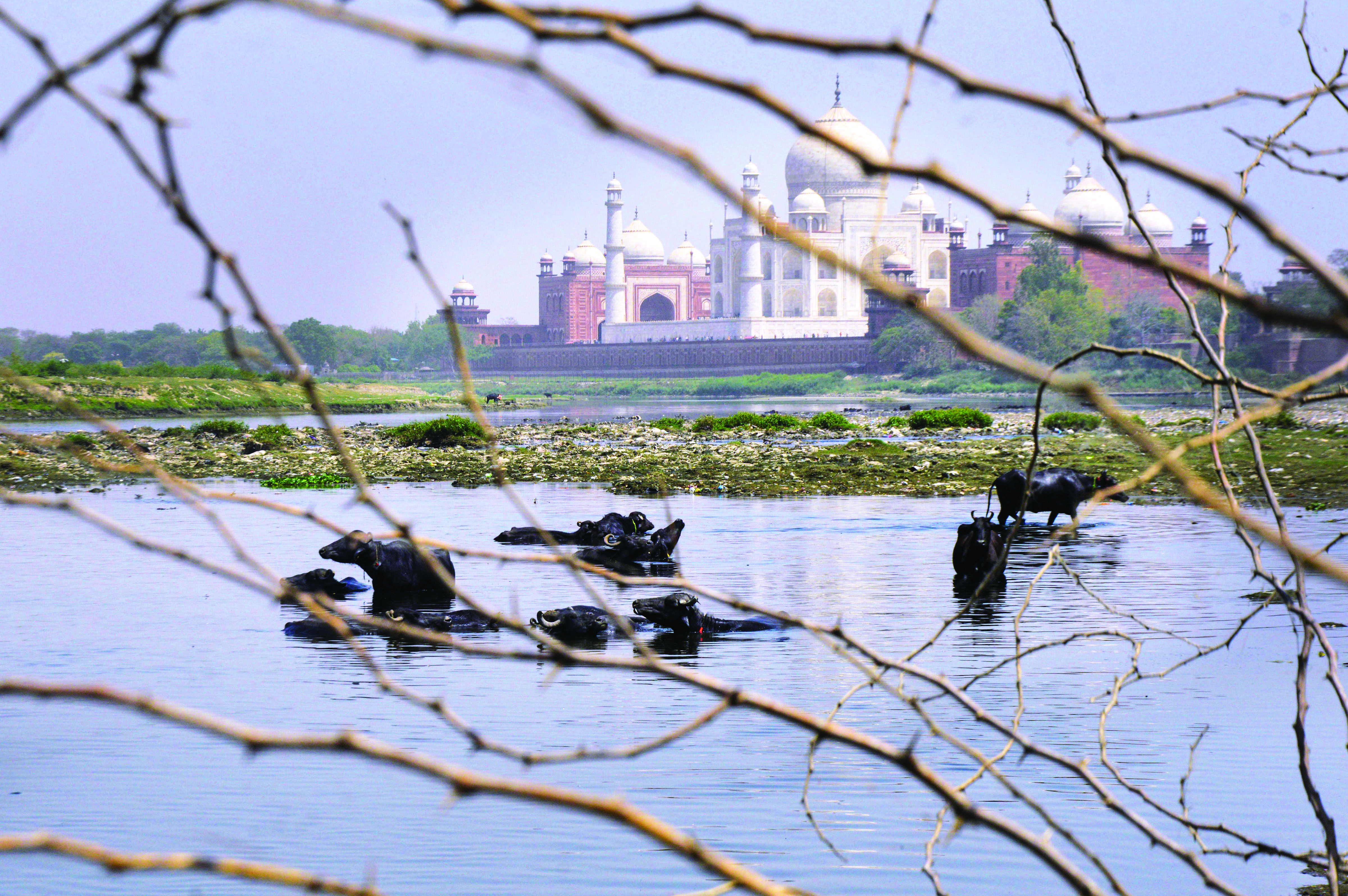 Relief likely for sun-scorched north India after light rains