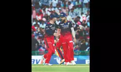Faf, Siraj script 24-run win for RCB