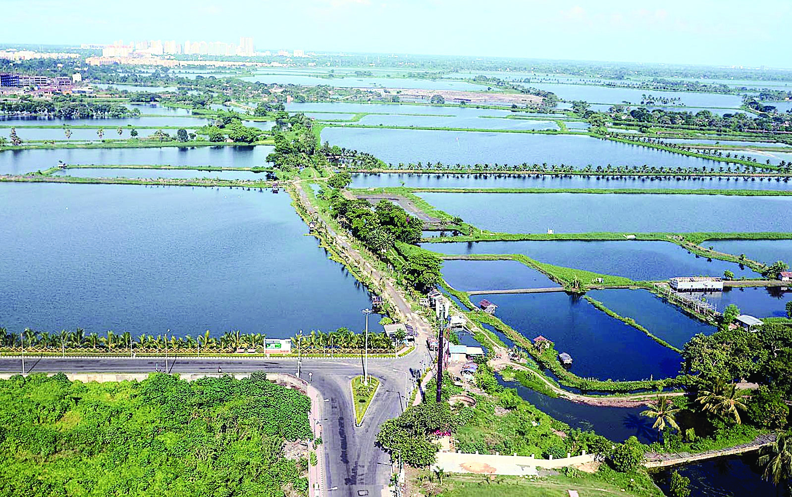 Steps to ensure people know no construction activity is allowed in fragile wetlands: Env dept