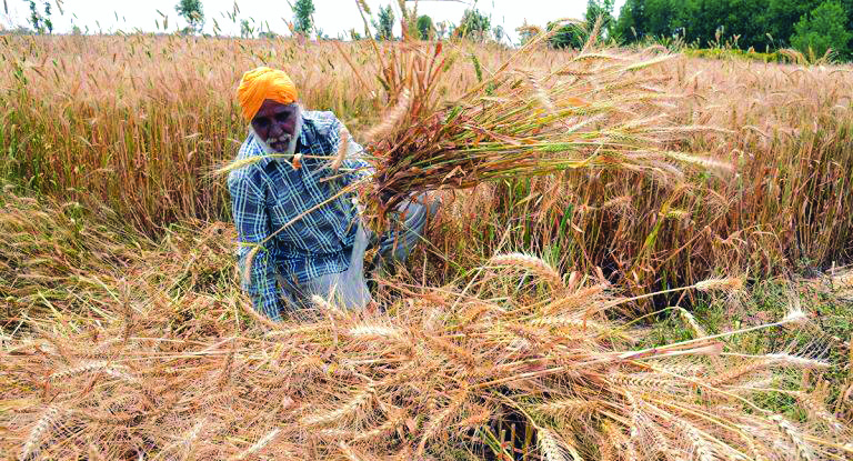India needs to be vigilant against many potential risks, says FinMin