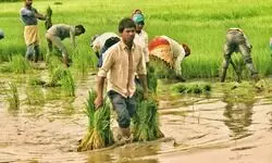 A win-win alternative