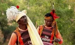 On a mesmerising journey