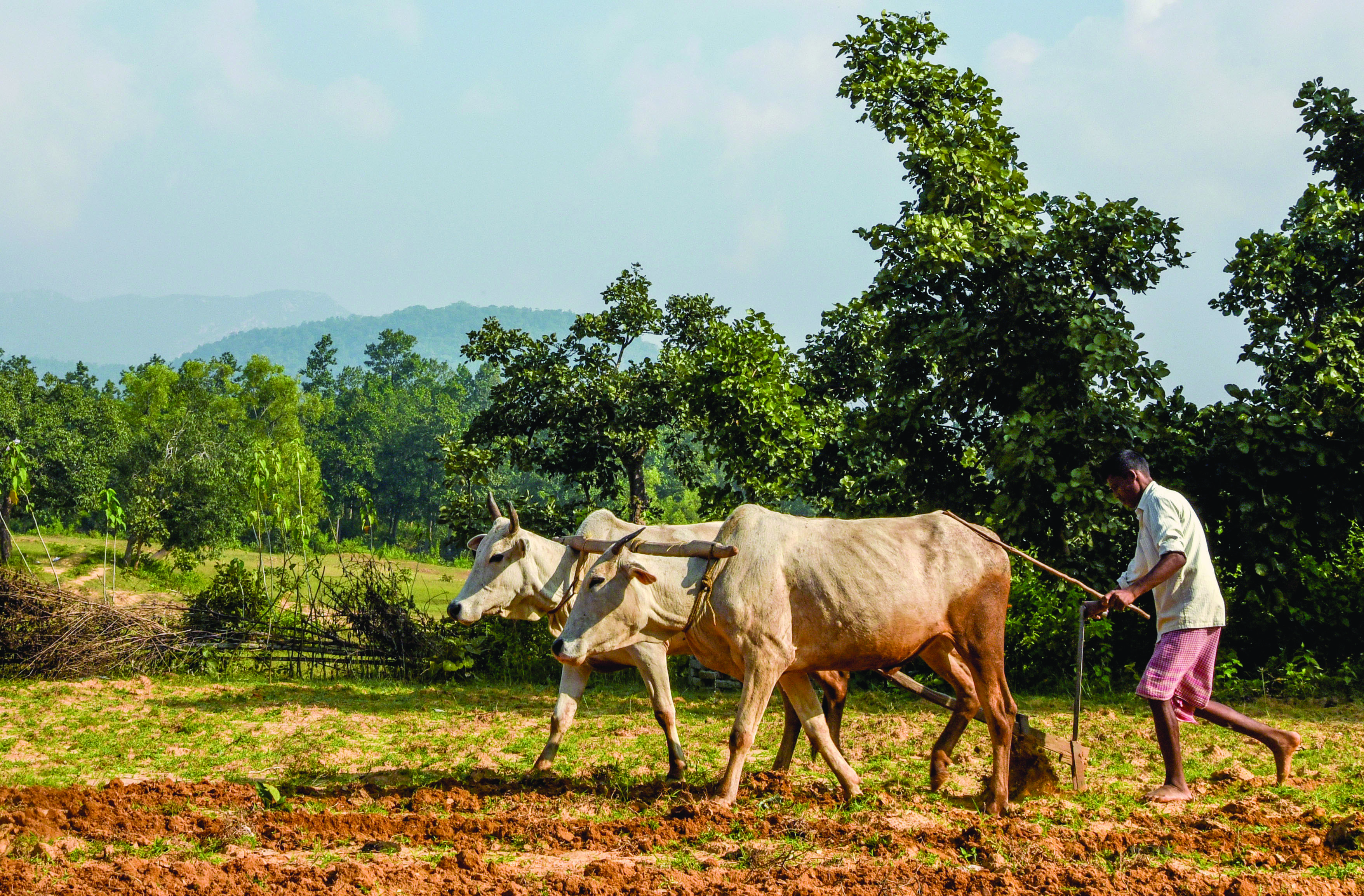 Disbursal of aid worth over   Rs 2K cr to 94L farmers starts