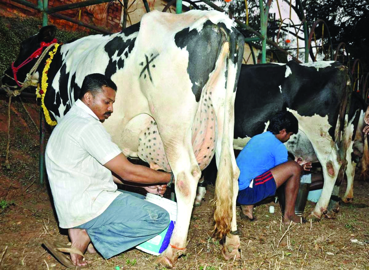 Centre rues non-utilisation of fund by state animal husbandry depts, asks states to spend