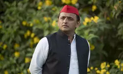 Uttar Pradesh urban body polls: Samajwadi Party leader, over 180 others booked for violating Model Code of Conduct