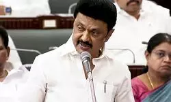 PTR audio issue: M K Stalin refuses to wade into cheap politics