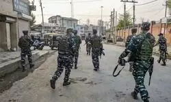 Militant associate held in J-Ks Shopian