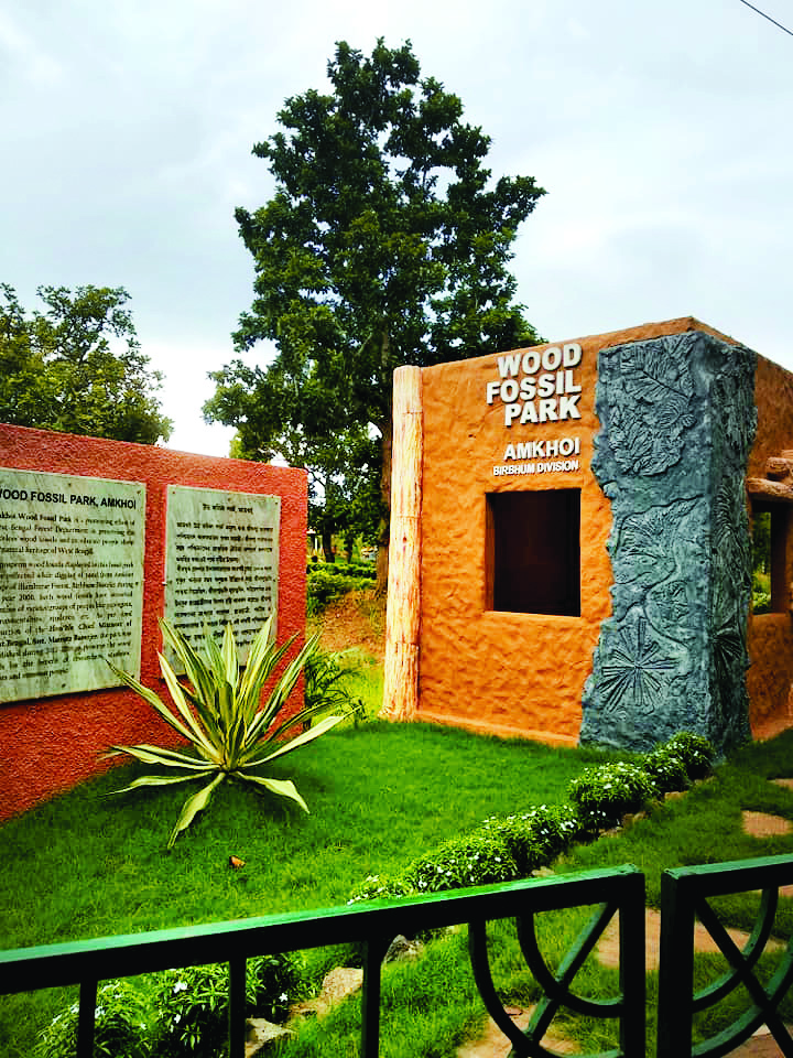 Amkhoi Wood Fossil Park in Birbhum now a ‘Biodiversity Heritage Site’