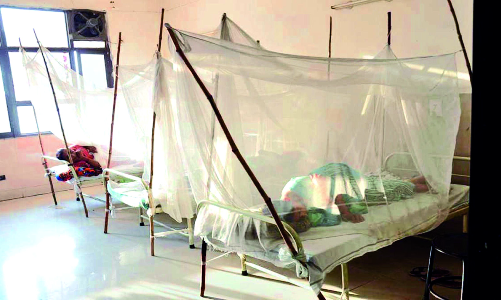 Bengal takes up year-long drive against dengue, malaria